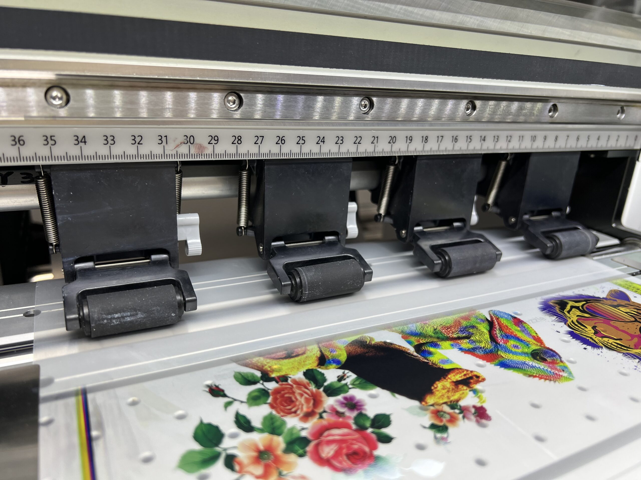 2024 Hot Sale: 30cm DTF Printer with PET Film Heat Transfer